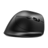 Ergonomic Mouse